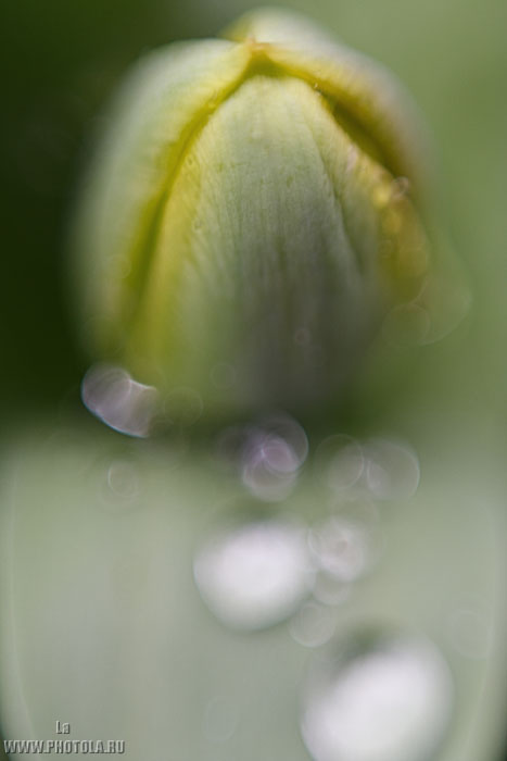 
---------
 (  ,      )