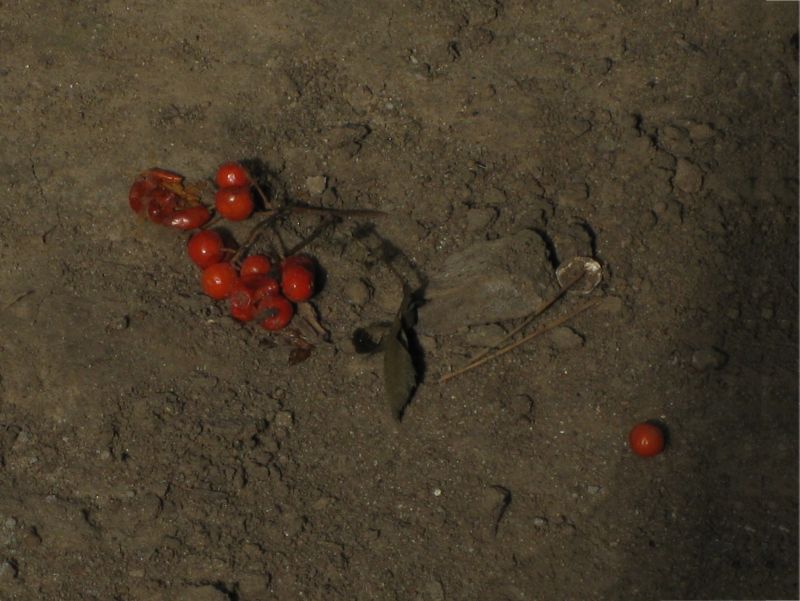   
---------
 (  ,      )