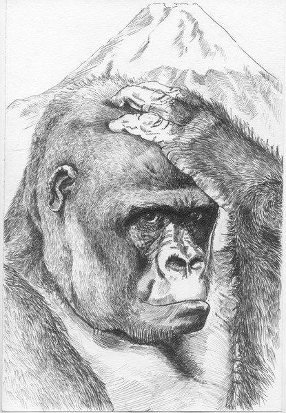 [ ]
---------
 (  ,      )