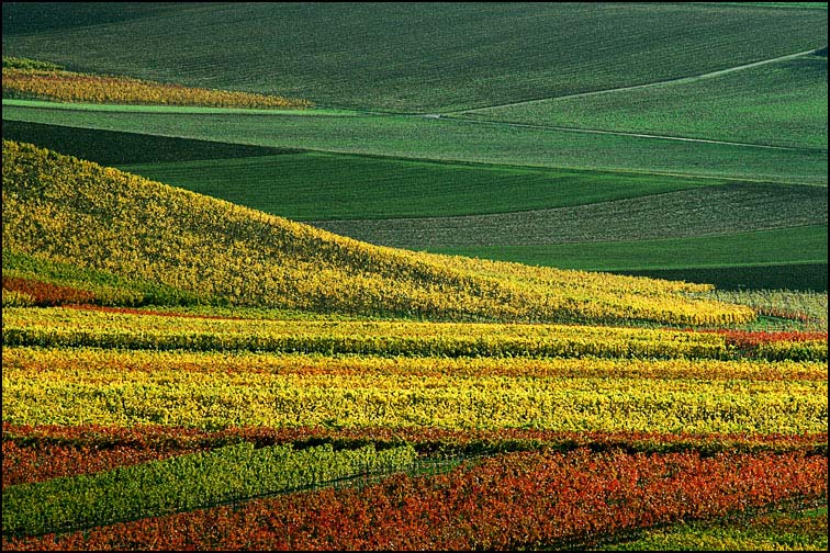lines&colors
---------
 (  ,      )