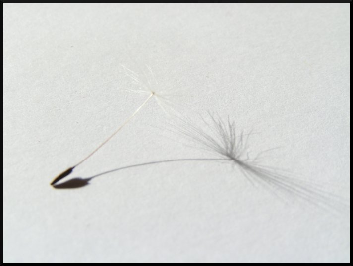 oduvancik
---------
 (�������� �� �����������, ����� ������� ��� � ������ �����)