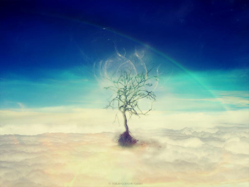 Eden Tree
---------
 (  ,      )