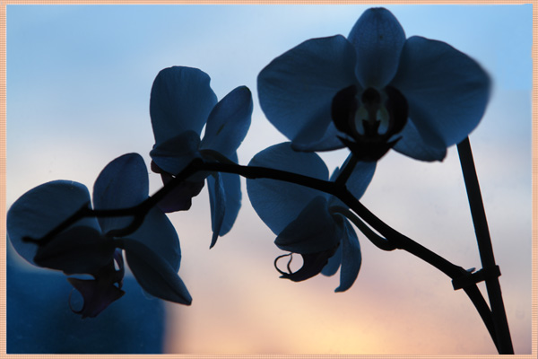 �������� �����
---------
 (�������� �� �����������, ����� ������� ��� � ������ �����)