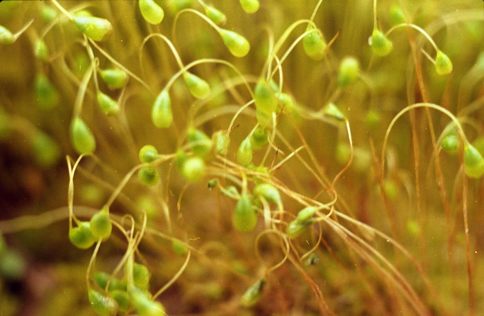 #8
---------
 (�������� �� �����������, ����� ������� ��� � ������ �����)