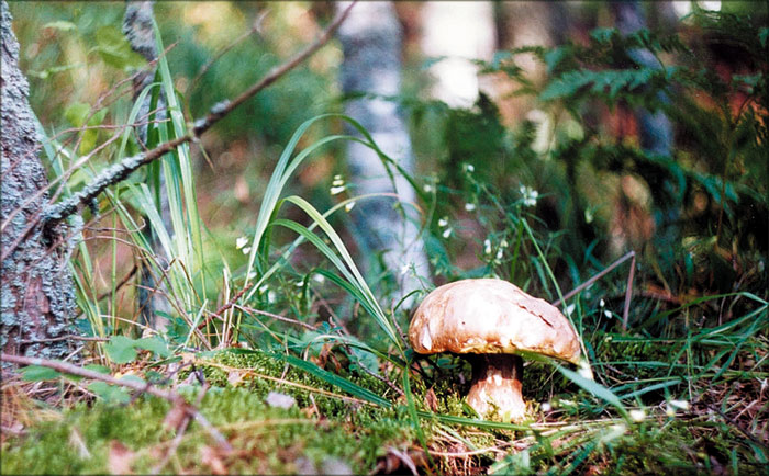  
---------
 (  ,      )