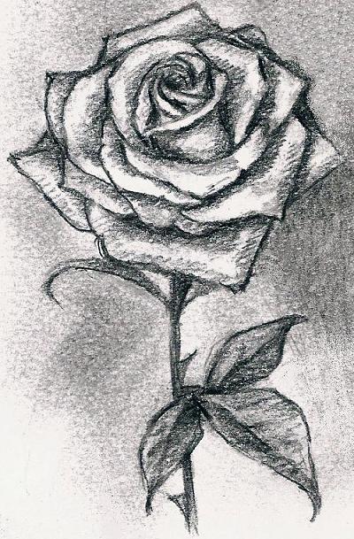 Rose
---------
 (  ,      )