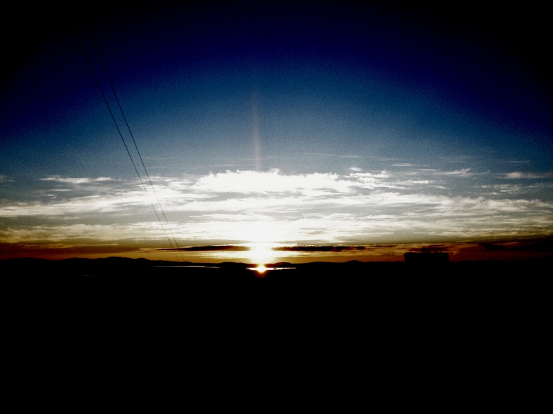 xecstro
---------
 (  ,      )