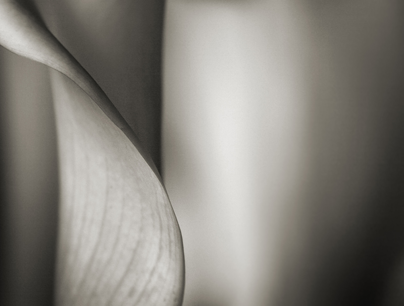 cutting edge
---------
 (�������� �� �����������, ����� ������� ��� � ������ �����)