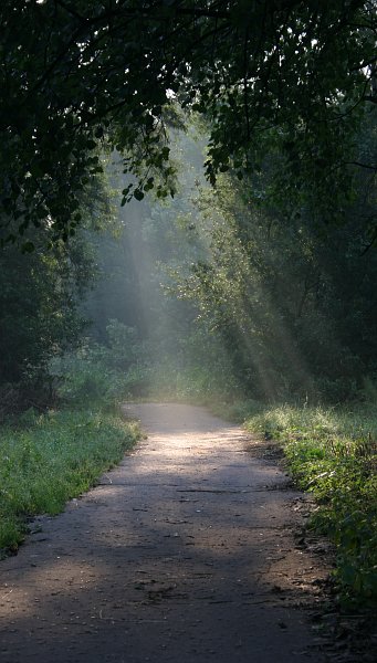 Hallelujah
---------
 (кликните по изображению, чтобы открыть его в полный экран)