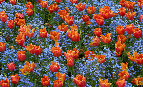 .
---------
 (  ,      )