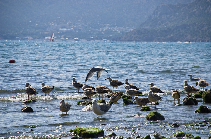 ��������. ��� ������� ���������!
---------
 (�������� �� �����������, ����� ������� ��� � ������ �����)