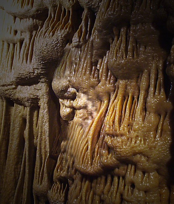 ...
---------
 (  ,      )