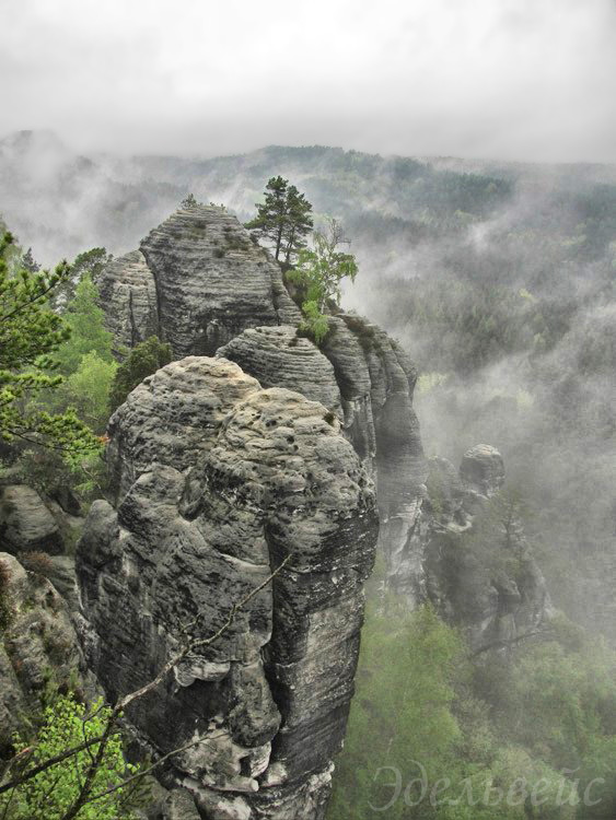 ���������� ���������
---------
 (�������� �� �����������, ����� ������� ��� � ������ �����)