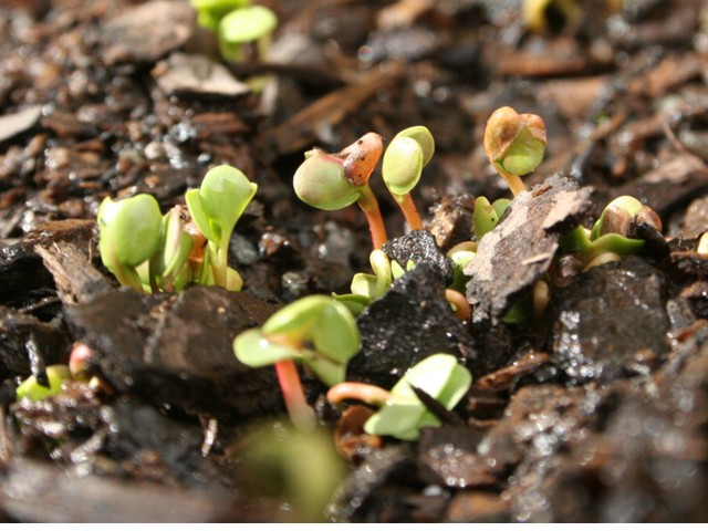 
---------
 (  ,      )