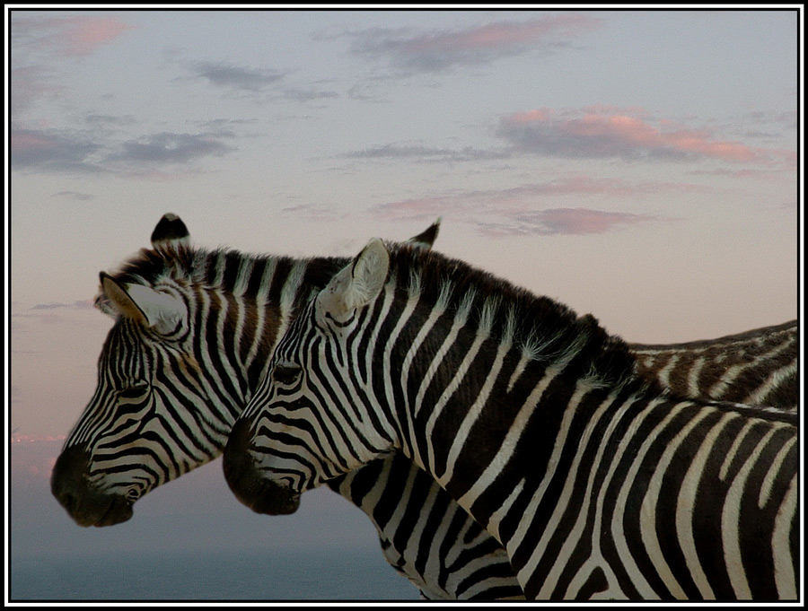 
---------
 (  ,      )