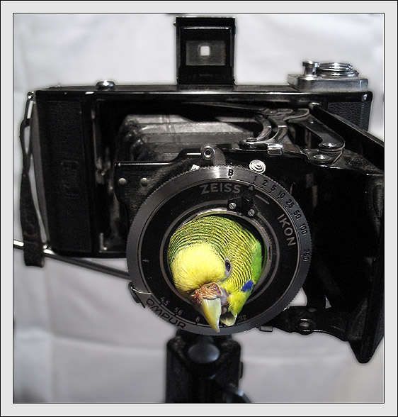 ��������! ������ ������� ������!
---------
 (�������� �� �����������, ����� ������� ��� � ������ �����)