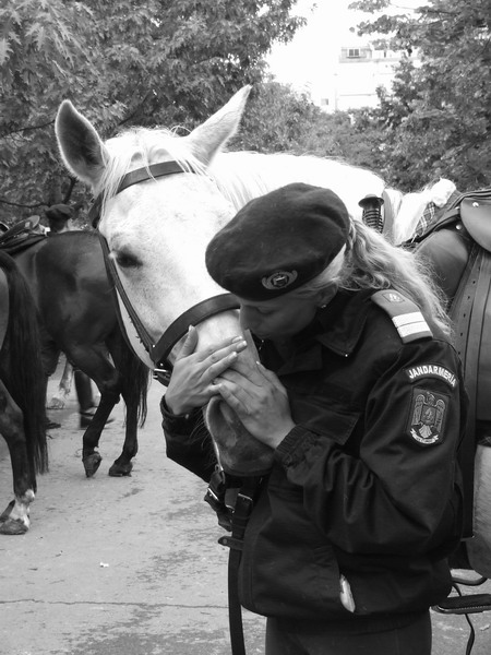 The kiss !
---------
 (  ,      )