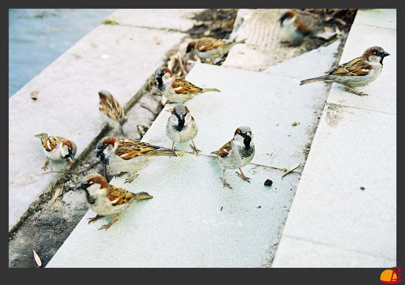   
---------
 (  ,      )