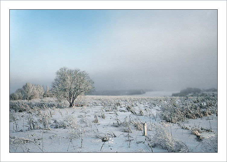 ***
---------
 (  ,      )