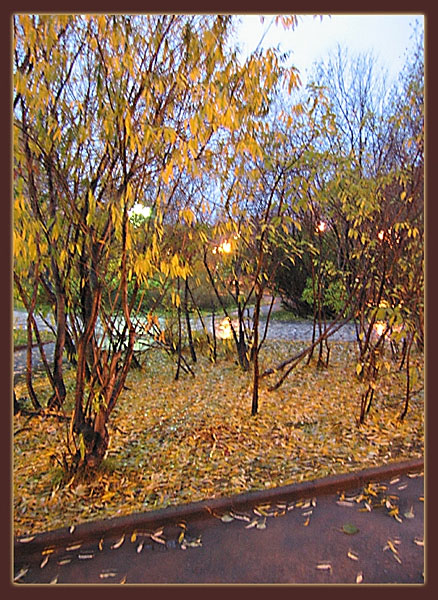 
---------
 (  ,      )