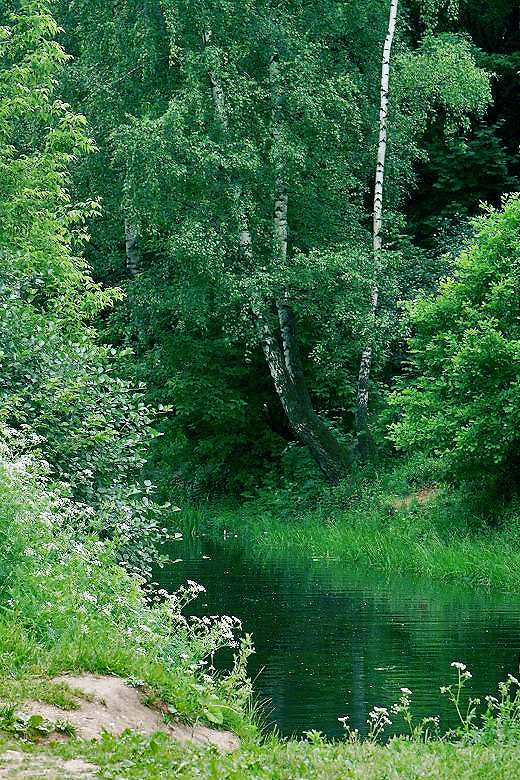  
---------
 (  ,      )