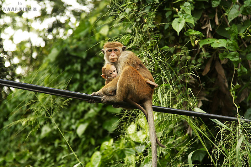 ������������
---------
 (�������� �� �����������, ����� ������� ��� � ������ �����)