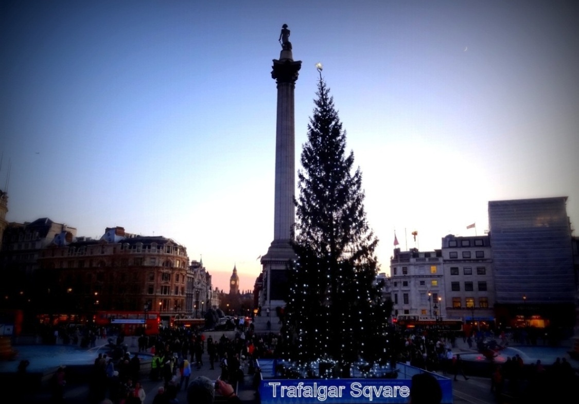 London. Trafalgar tree
---------
 (  ,      )