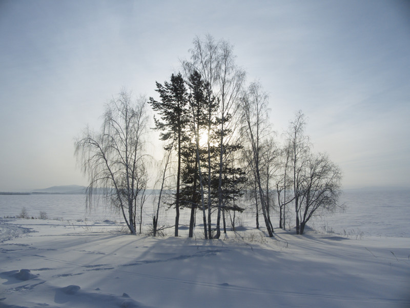     
---------
 (  ,      )