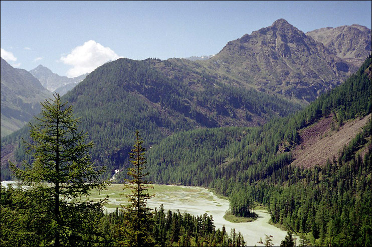 Altai (66) 1999
---------
 (  ,      )