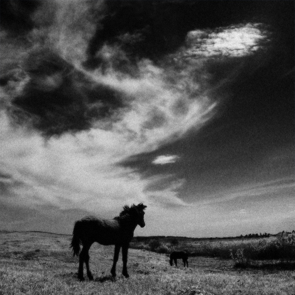 [��� ��������]
---------
 (�������� �� �����������, ����� ������� ��� � ������ �����)