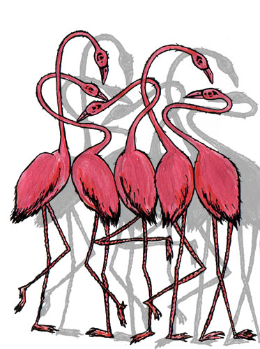 пять розовых фламингА
---------
 (кликните по изображению, чтобы открыть его в полный экран)