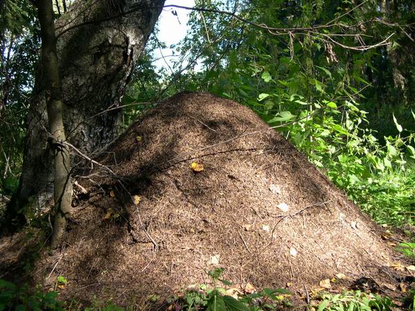 
---------
 (  ,      )