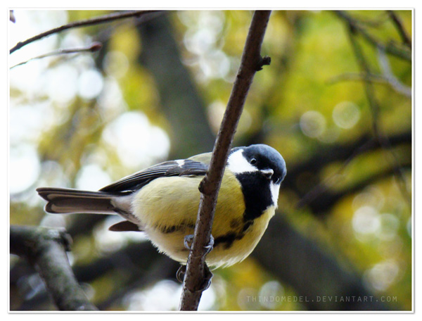 
---------
 (  ,      )