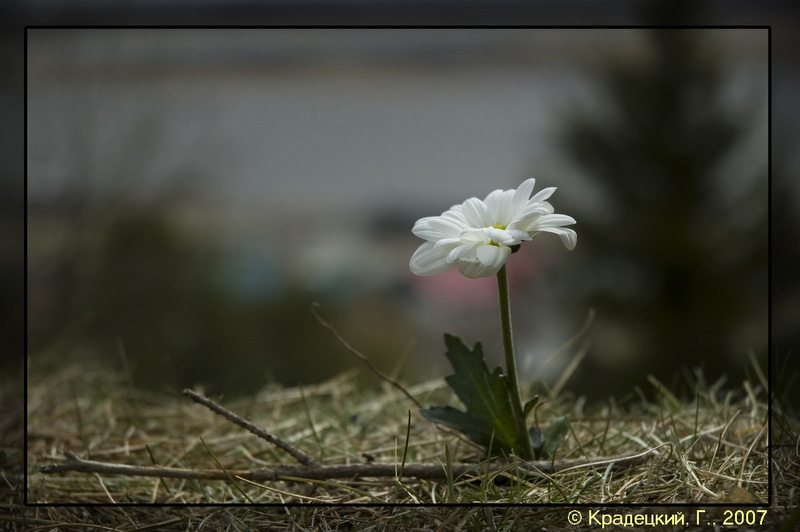 � ��� ������� � ��������
---------
 (�������� �� �����������, ����� ������� ��� � ������ �����)