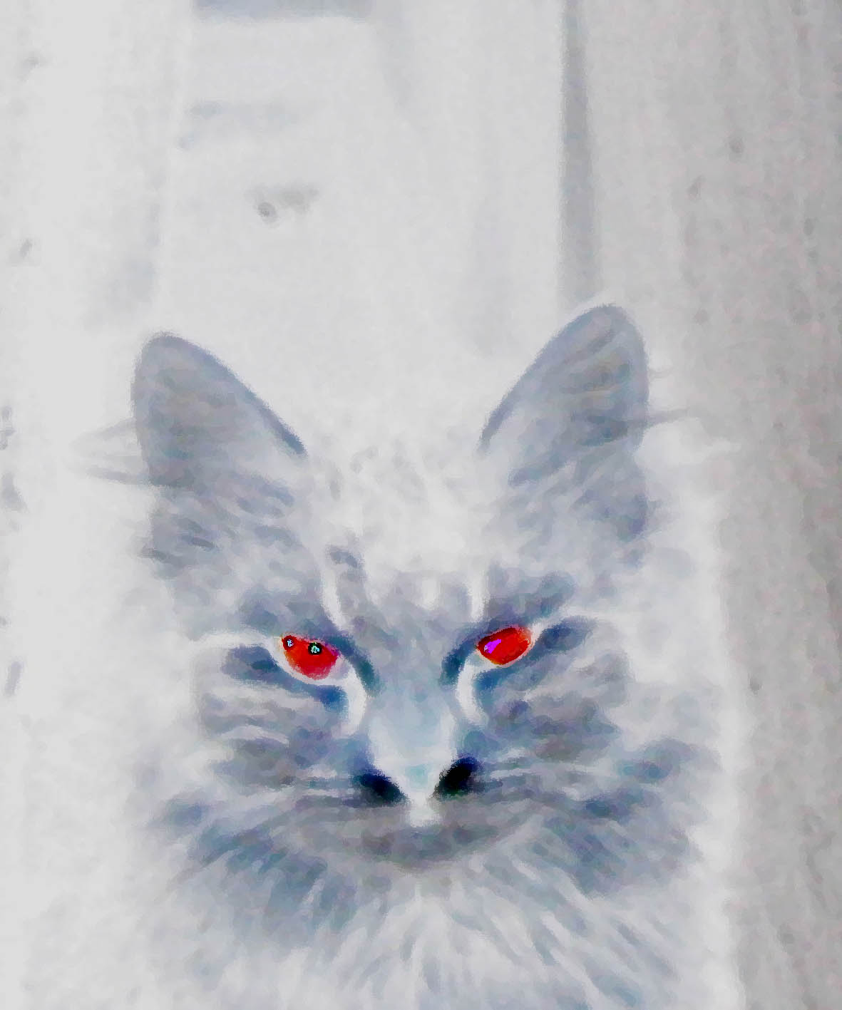 КОТ
---------
 (кликните по изображению, чтобы открыть его в полный экран)