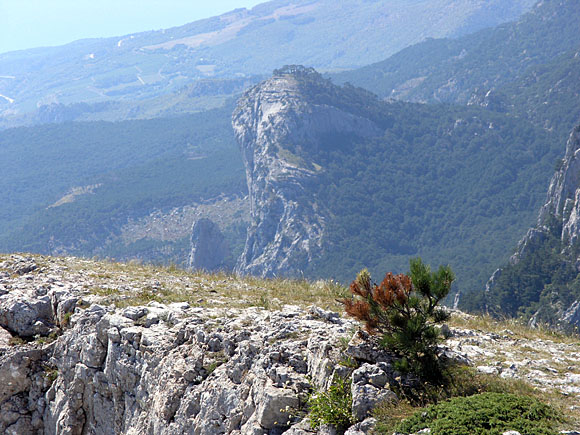 ����, ����...
---------
 (�������� �� �����������, ����� ������� ��� � ������ �����)