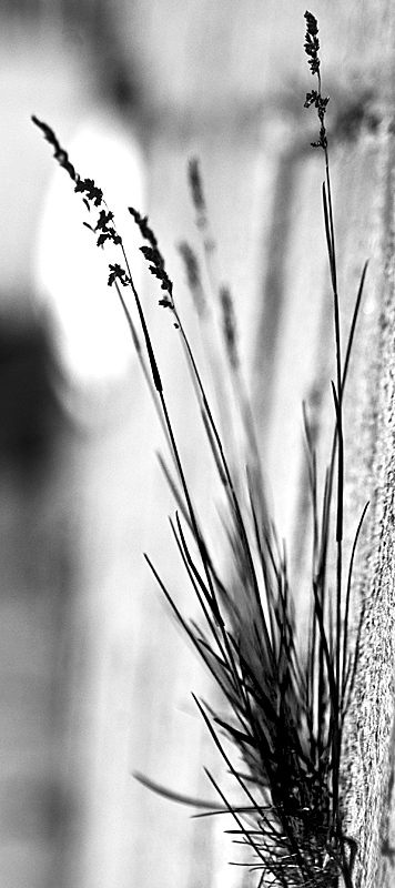  
---------
 (  ,      )