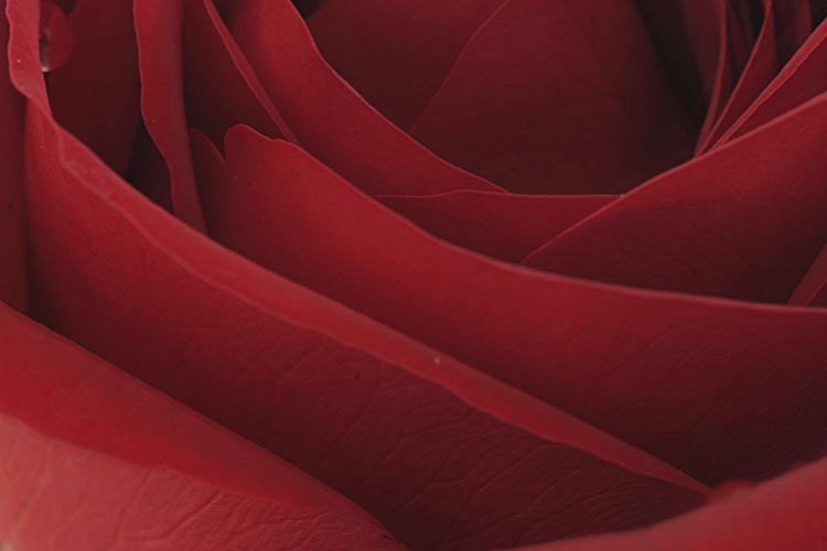    
---------
 (  ,      )