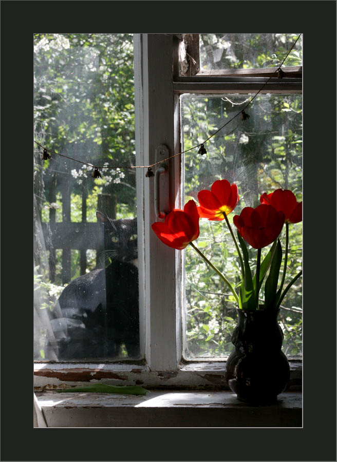  !
---------
 (  ,      )