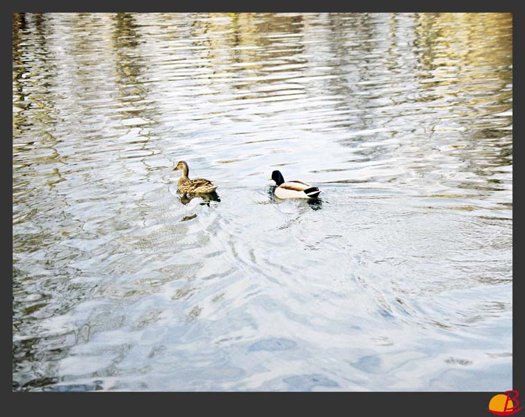 [ ]
---------
 (  ,      )