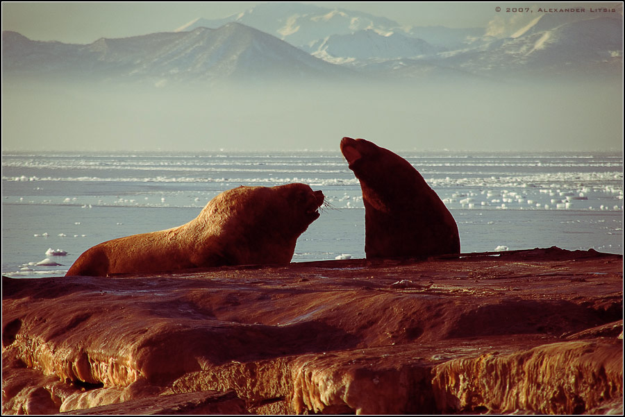    ...
---------
 (  ,      )