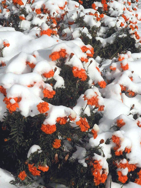 [ ]
---------
 (  ,      )