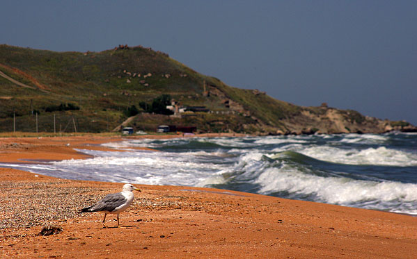 
---------
 (  ,      )