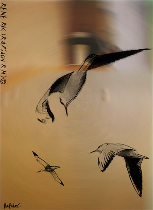   ...
---------
 (  ,      )