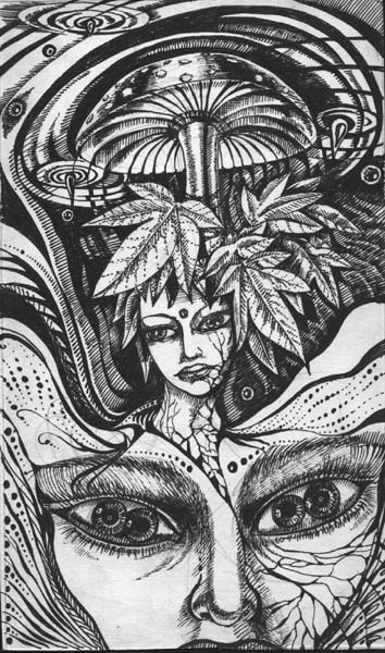 ������� ������
---------
 (�������� �� �����������, ����� ������� ��� � ������ �����)