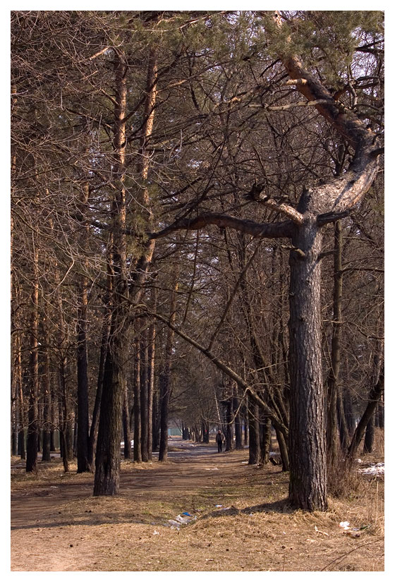 
---------
 (  ,      )