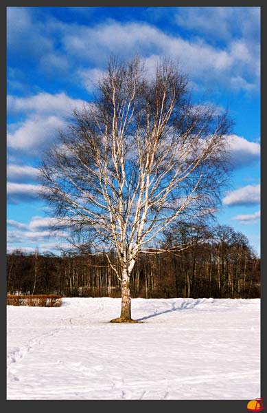 
---------
 (  ,      )