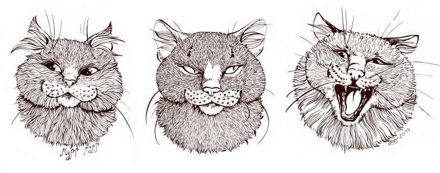  
---------
 (  ,      )