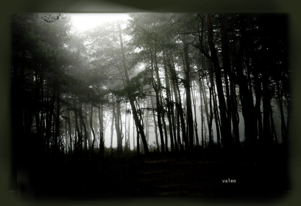 mistery
---------
 (кликните по изображению, чтобы открыть его в полный экран)