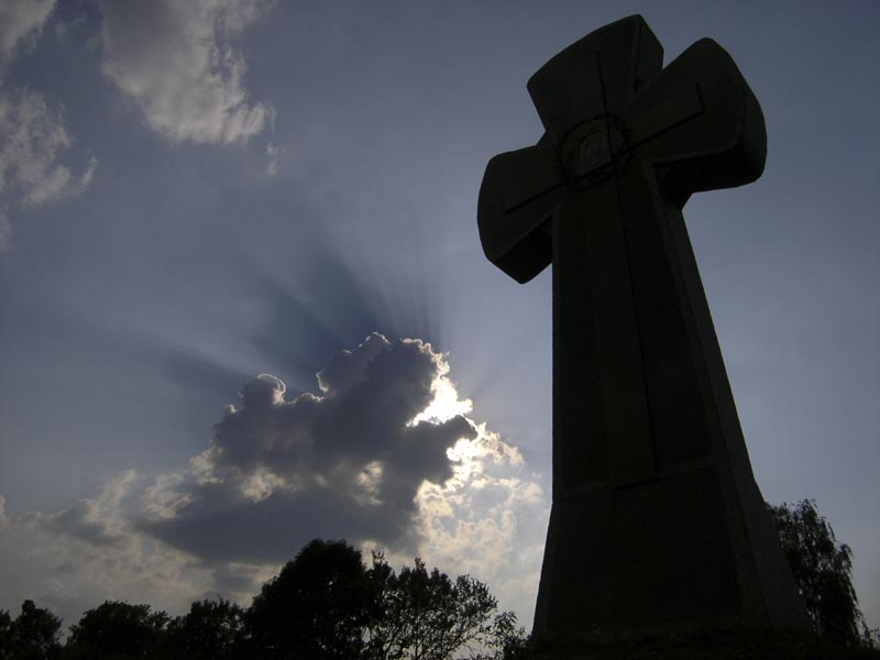 ###
---------
 (  ,      )